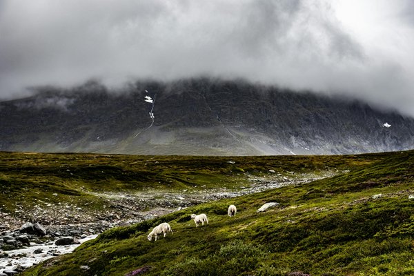 Éviter les Embûches : Guide Complet pour un Voyage en Groupe Réussi